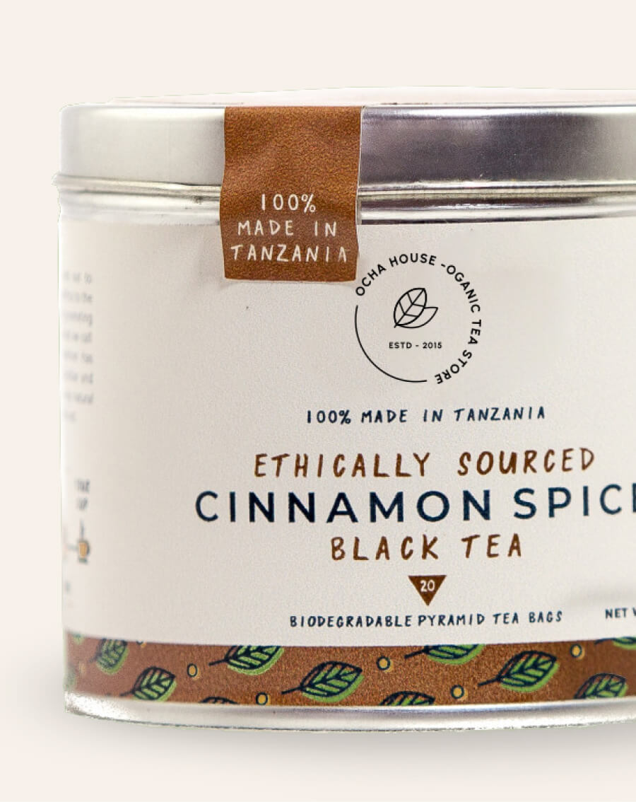 cinnamion spice thumbnail (1)