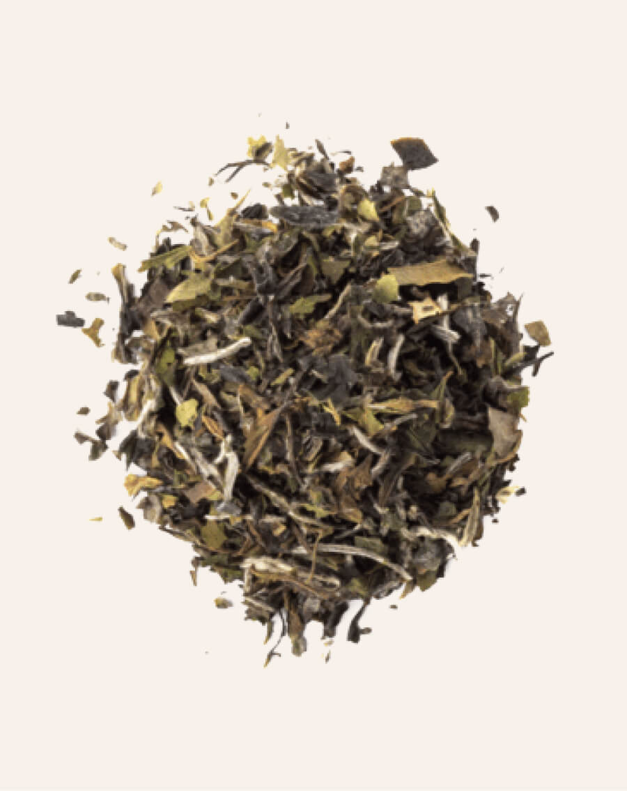 hight mountain thumbnail (3)